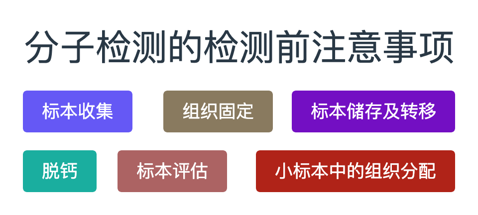 分子检测常规注意事项