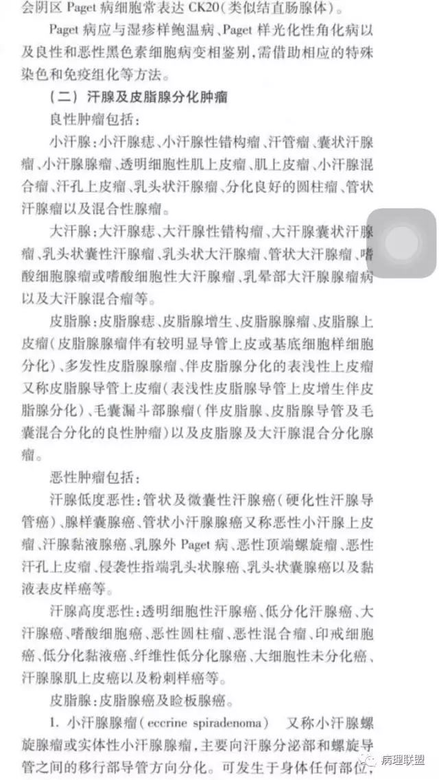 汗孔瘤属于小汗腺